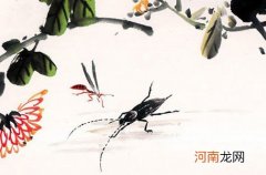 富贵命格 白蜡金命几月生好 一月出生最好