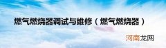 燃气燃烧器 燃气燃烧器调试与维修