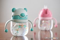 学饮杯好还是鸭嘴杯好 学饮杯和鸭嘴杯的区别