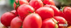 圣女果为什么叫圣女果 圣女果名字的由来