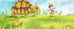 乌龟属于哪类动物 乌龟属于什么动物