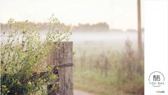 庶长子和嫡长子的区别 庶长子和嫡次子哪个地位高