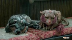 雪中呵呵姑娘为什么杀虎夔 呵呵姑娘为什么杀虎夔