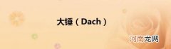 Dach 大锤
