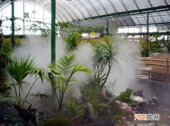 沧州喷雾加湿厂家在哪 沧州喷雾加湿厂家