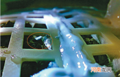 哪些星球可能存在生命 哪个星球上有生命存在