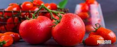 挑选西红柿的三个方法 挑选西红柿的方法