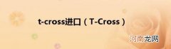T-Cross t-cross进口