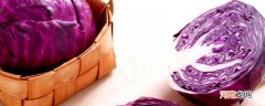 紫甘蓝是什么 紫甘蓝是什么东西