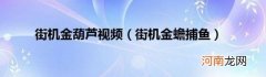 街机金蟾捕鱼 街机金葫芦视频