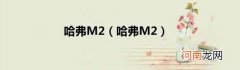 哈弗M2 哈弗M2