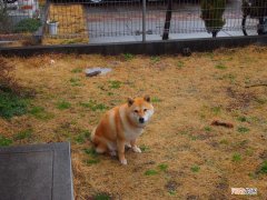 剥削的意思 政治经济学：关于剥削问题