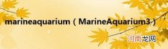 MarineAquarium3 marineaquarium