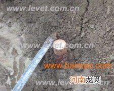 井下接地极多长时间测量一次 离子接地极井施工记录