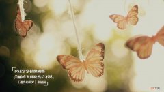 新天地ktv 你玩过最豪华的KTV是怎样的？