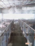 养鸡场喷雾消毒设备 长沙鸡舍加湿喷雾