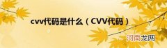 CVV代码 cvv代码是什么