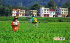 农业创业 农业创业成功的基本要求是什么