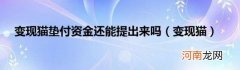 变现猫 变现猫垫付资金还能提出来吗