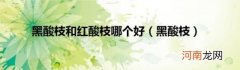 黑酸枝 黑酸枝和红酸枝哪个好