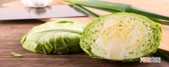 卷心菜是什么菜