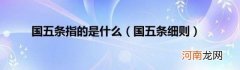 国五条细则 国五条指的是什么