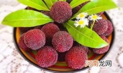 杨梅除了用盐泡还可以用什么 杨梅没有盐水怎么处理