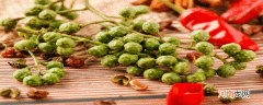 青花椒是麻椒吗