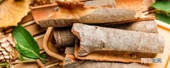 桂皮和肉桂的区别