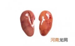 腰子是睾丸还是肾 腰子是哪个部位