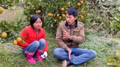 两人创业 两人创业的情景对话