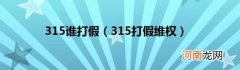 315打假维权 315谁打假