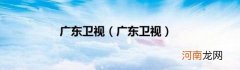 广东卫视 广东卫视