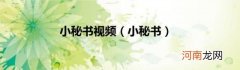 小秘书 小秘书视频