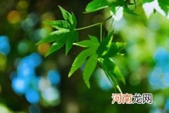 2022年下半年雨水是涝是旱 2022年下半年会干旱吗
