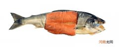 三文鱼是海鲜类吗