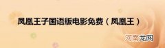 凤凰王 凤凰王子国语版电影免费