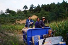 回家创业 在家创业有啥好项目