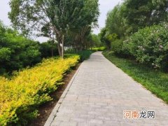 莱斯特小姐 人的内心，最害怕的是痛苦吗？