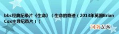 2013年英国BrianCox主导纪录片) bbc经典纪录片《生命》(生命的奇迹
