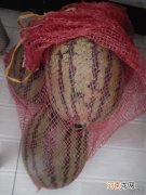 卢大雨 说几件小时候的尴尬事情？