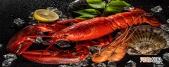 小青龙和波士顿龙虾的区别