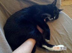 农产品税率 销售收购的农产品税率是多少？