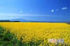 料峭的拼音 春寒料峭是什么含义？你怎么理解？