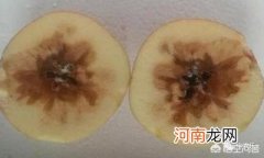 食心虫 如何预防苹果霉心病和食心虫？