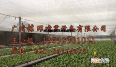 巫溪种植大棚喷雾加湿系统设备的简单介绍