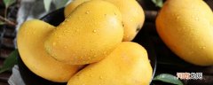 杧果和芒果有什么区别