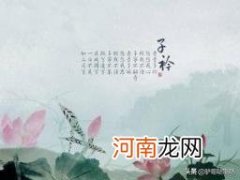 挑兮达兮 《诗经·郑风·子衿》全文？