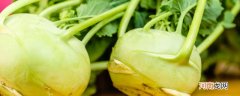 苤蓝是什么菜