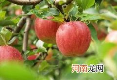 一夜之间咽喉吞咽疼痛 喉咙痛吃什么